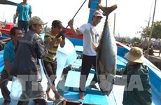 Binh Dinh est déterminée à lutter contre l'exploitation illégale de produits aquatiques