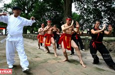 La quintessence des arts martiaux traditionnels du Vietnam
