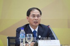 Le vice-ministre des AE Bui Thanh Son parle des contributions du Vietnam au Sommet du G20