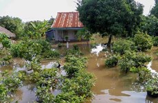Recherche des solutions pour l'adaptation au changement climatique dans le delta du Mékong