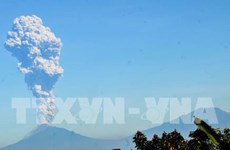 ​L'Indonésie émet un avertissement de danger lors de l'éruption du volcan Merapi