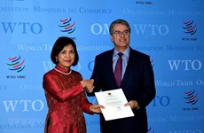 Le Vietnam s'engage à collaborer étroitement avec l'OMC