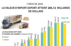 La valeur d'import-export du Vietnam a atteint 285,12 milliards de dollars en sept mois
