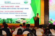 Vietnam et République de Corée coopèrent dans la production du sésame