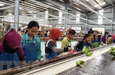 De projets agricoles vietnamiens qui créent des emplois stables au Cambodge
