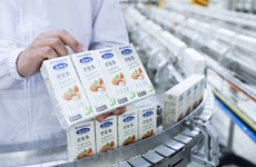 Vinamilk exporte un gros lots de produits laitiers vers la Chine