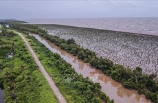 Développer le delta du Mékong en s’adaptant au changement climatique