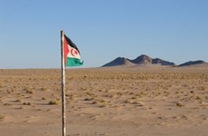 Le Vietnam appelle les parties au Sahara occidental à reprendre les négociations  
