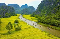 Ninh Binh: destination attrayante des touristes 