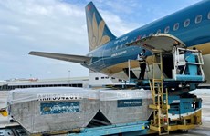 COVID-19: Vietnam Airlines achève le transport du vaccin AstraZeneca aux villes et provinces