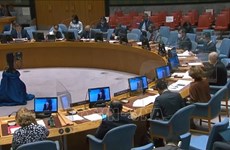 Conseil de sécurité de l'ONU: Impacts de la pandémie sur les efforts de lutte contre le terrorisme