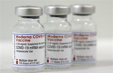 ​COVID-19: le Vietnam approuve d'urgence le vaccin Moderna 