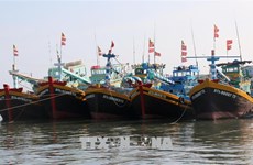 Kien Giang est déterminée à supprimer le carton jaune sur la pêche INN