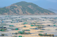 Ile de Binh Ba, capitale de l'élevage de homard en baie de Cam Ranh 