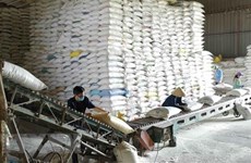 Le Premier ministre décide d'octroyer plus de 130.000 tonnes de riz à 24 villes et provinces