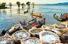 COVID-19: le secteur touristique du delta du Mékong cherche à surmonter ses difficultés 