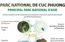 Le parc national de Cuc Phuong vient d'être honoré en tant que "principal parc national d'Asie 2021"