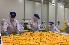 Les États-Unis sont le premier marché à l'export des produits agricoles du Vietnam