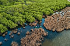 Développement durable des forêts pour faire face au changement climatique