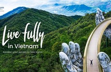 "Vivre pleinement au Vietnam" - Campagne d'accueil des visiteurs internationaux
