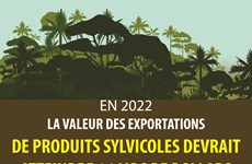 La valeur des exportations de produits sylvicoles devrait atteindre 16 milliards de dollars en 2022
