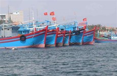 Lutte contre la pêche INN: Tien Giang soutient la pêche hauturière