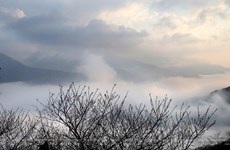 Le "paradis des nuages" ​​de Ta Xua 