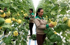 Quang Ninh est déterminée à accélérer la transformation numérique dans l'agriculture
