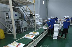 Les exportations de riz vers l'UE en forte hausse grâce à l'EVFTA