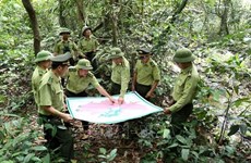 Aide américaine dans la formation des gardes forestiers du Vietnam