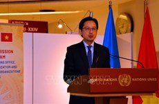 Le Vietnam contribue aux activités du Conseil des droits de l'homme de l'ONU