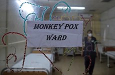 L'Inde aide le Vietnam à former des experts pour prévenir la variole du singe