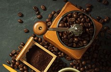L'Algérie, un marché prometteur pour le café du Vietnam