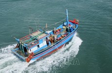 La CE reconnaît les efforts du Vietnam pour faire retirer le "carton jaune" sur la pêche INN
