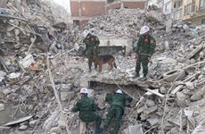 Le Vietnam solidaire avec les sinistrés du séisme en Turquie