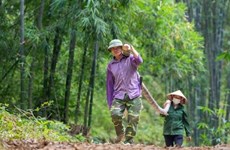 Un projet financé par l'UE promeut la chaîne de valeur durable des palourdes et du bambou au Vietnam