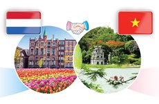 Partenariat intégral Vietnam-Pays-Bas