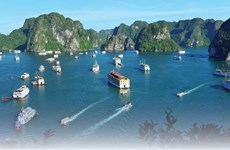 La baie d'Ha Long se classe au 4e rang des 10 merveilles naturelles les plus visitées au monde