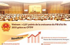 Vietnam : +2,01 points de la croissance du PIB d’ici fin 2035 grâce au CPTPP