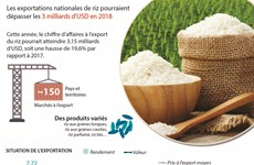 Les exportations nationales de riz pourraient dépasser les 3 milliards d’USD en 2018