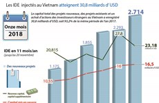 Les IDE  injectés au Vietnam atteignent 30,8 milliards d’USD