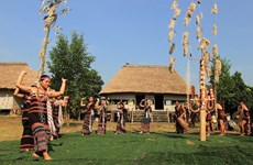 De nombreuses activités culturelles au village culturel et touristique des ethnies du Vietnam