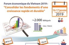Forum économique du Vietnam 2019 : 