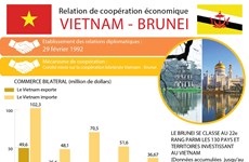 Relation de coopération économique  Vietnam - Brunei