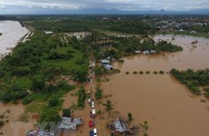 Indonésie : des milliers de personnes évacuées à la suite d'inondations