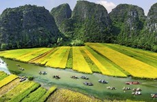 Ninh Binh se prépare activement pour l’Année nationale du tourisme 2020
