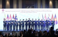 Le Vietnam contribue activement à la coopération économique régionale