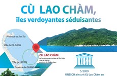 Cù Lao Chàm, îles verdoyantes séduisantes