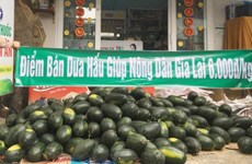 COVID-19 : la R de Corée soutient la consommation des produits agricoles vietnamiens