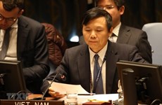 Le Vietnam souligne la nécessité de régler les défis liés au terrorisme en  Syrie